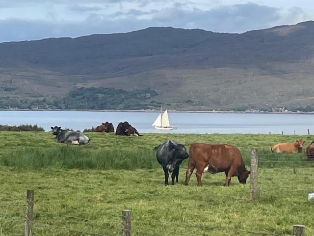 Вилла Plockton, Camus Fearn Barn Экстерьер фото